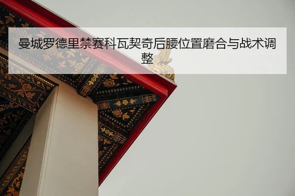 man-cheng-luo-de-li-jin-sai-ke-wa-qi-qi-hou-yao-wei-zhi-mo-he-yu-zhan-shu-tiao-zheng-2-210.jpg