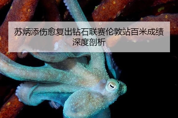 苏炳添伤愈复出钻石联赛伦敦站百米成绩深度剖析